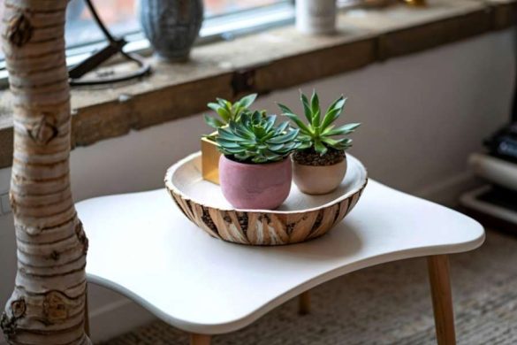 Petite table basse en bois blanc avec deux succulentes en pots colorés dans un bol en bois naturel, composition végétale typique du feng shui pour attirer l'énergie positive.